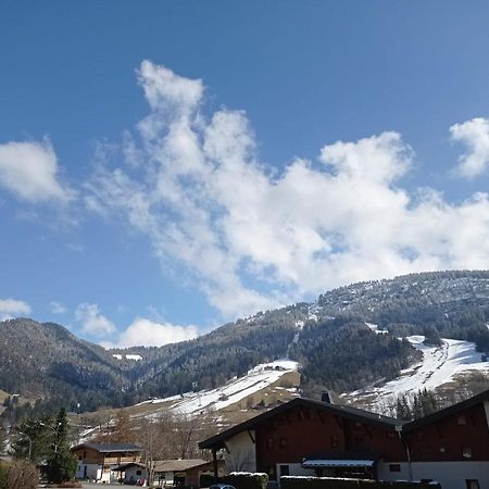 Studio Praz Sur Arly Διαμέρισμα Εξωτερικό φωτογραφία