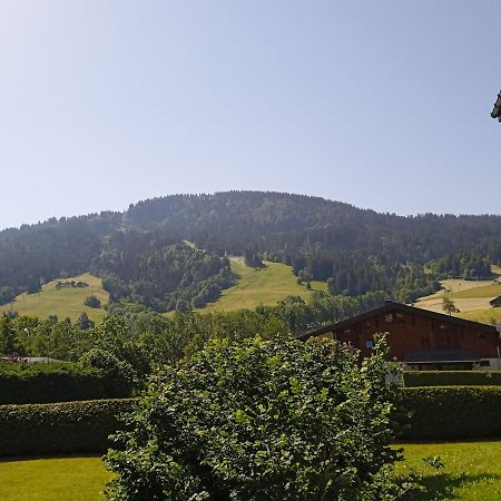 Studio Praz Sur Arly Διαμέρισμα Εξωτερικό φωτογραφία