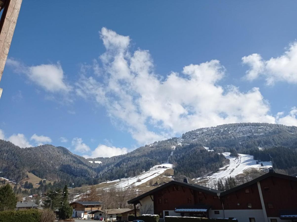 Studio Praz Sur Arly Διαμέρισμα Εξωτερικό φωτογραφία